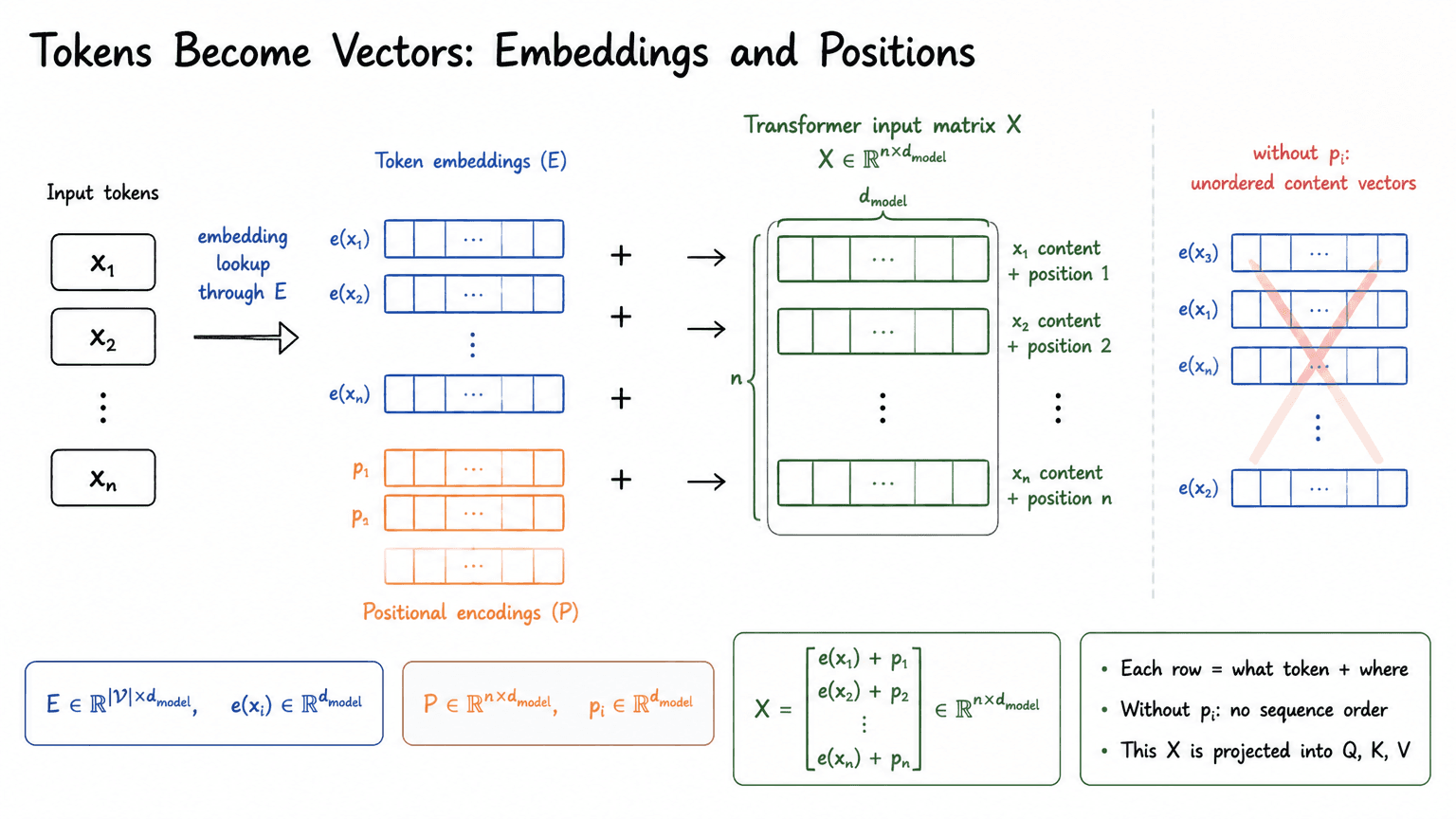 5. Tokens Become Vectors: Embeddings and Positions