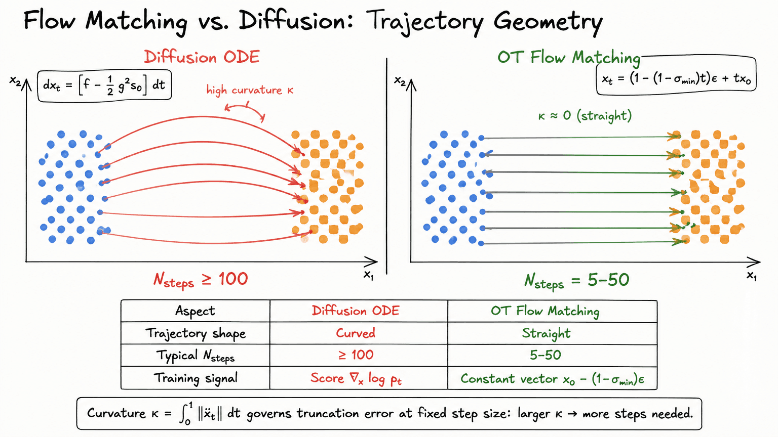 24. Flow Matching vs. Diffusion: Trajectory Geometry