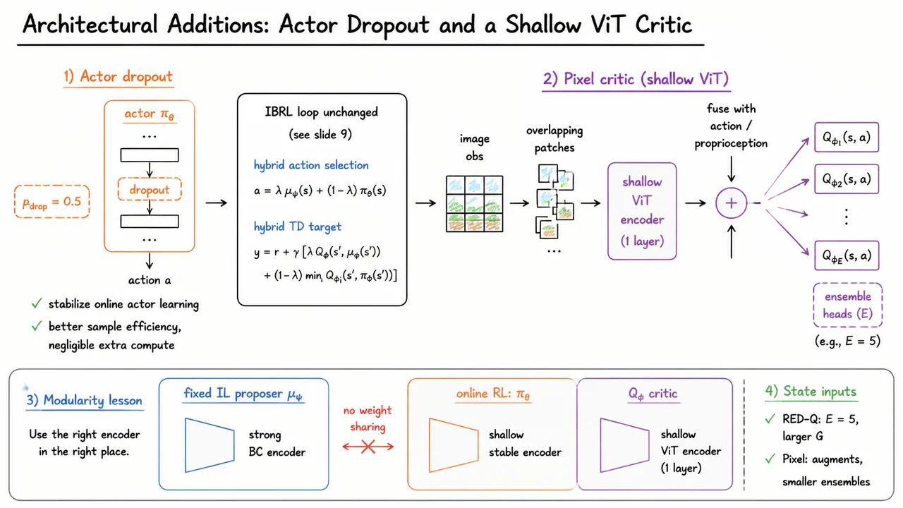 11. Architectural Additions: Actor Dropout and a Shallow ViT Critic