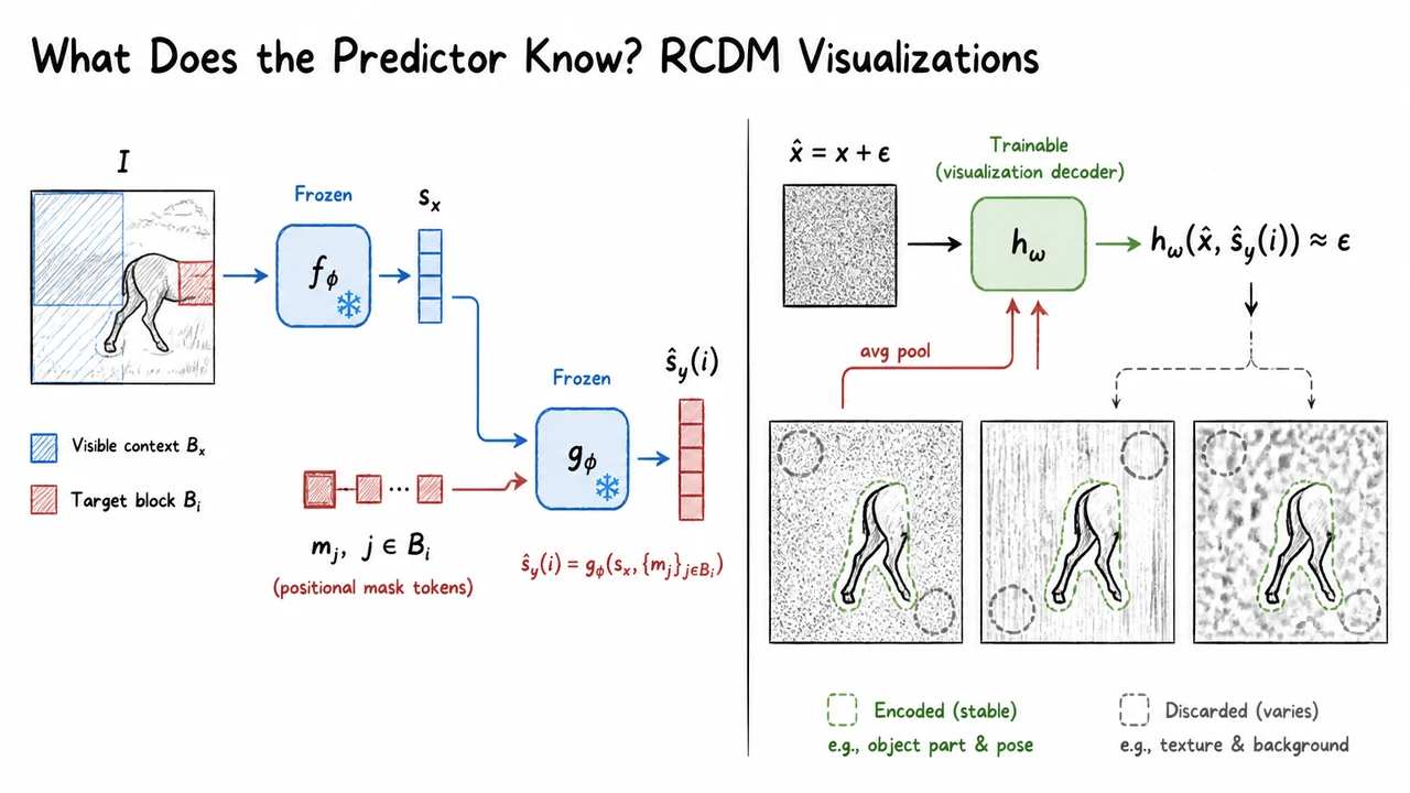 24. What Does the Predictor Know? RCDM Visualizations