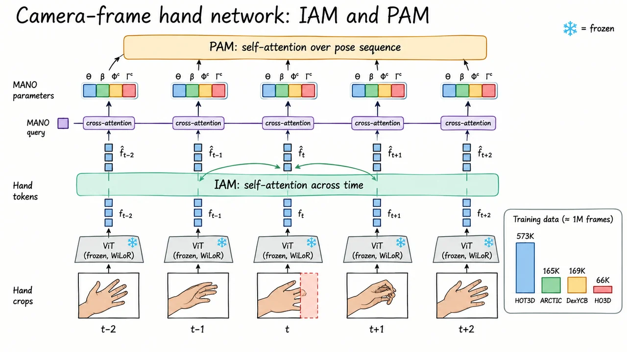 Camera-frame hand network: IAM and PAM