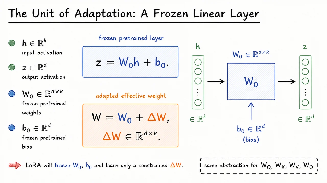 5. The Unit of Adaptation: A Frozen Linear Layer