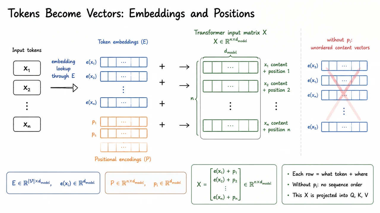 5. Tokens Become Vectors: Embeddings and Positions