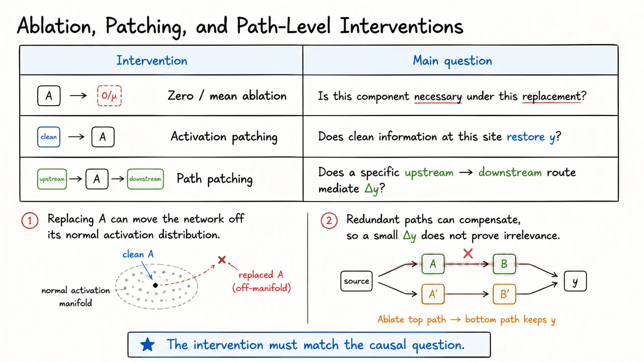 Ablation, Patching, and Path-Level Interventions
