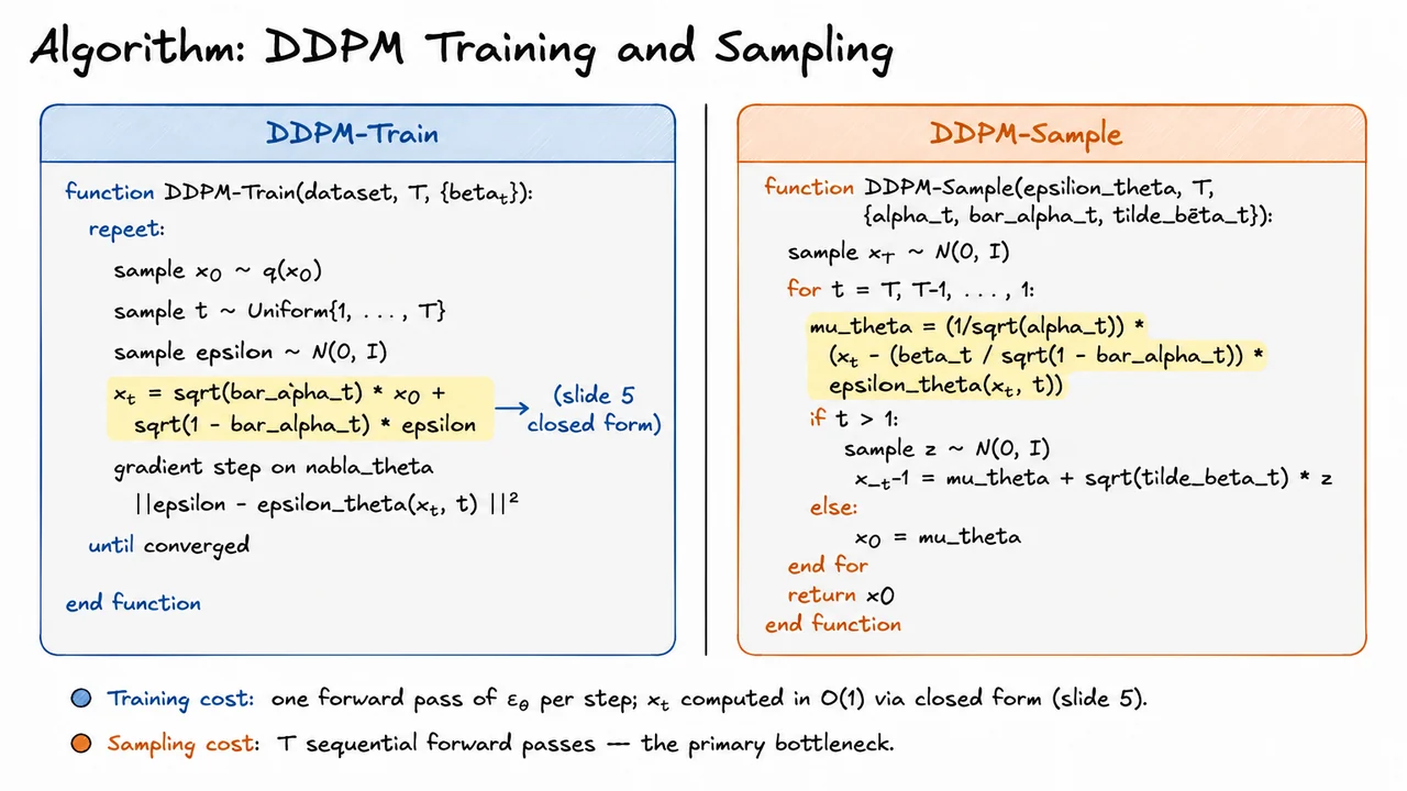 10. Algorithm: DDPM Training and Sampling