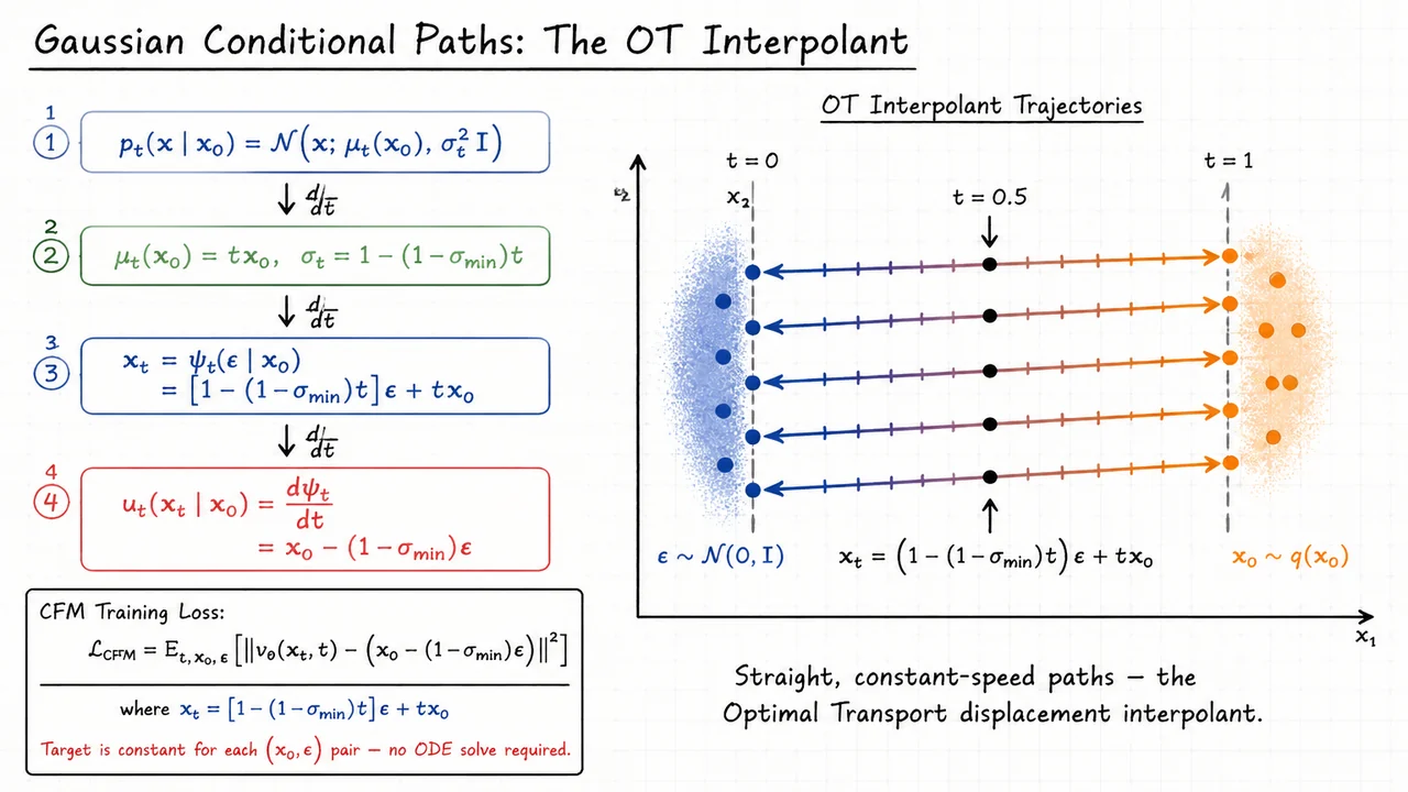 22. Gaussian Conditional Paths: The OT Interpolant